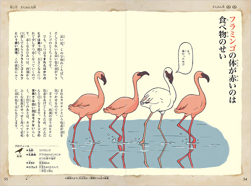 おもしろい！進化のふしぎ　ざんねんないきもの事典 - Image 4