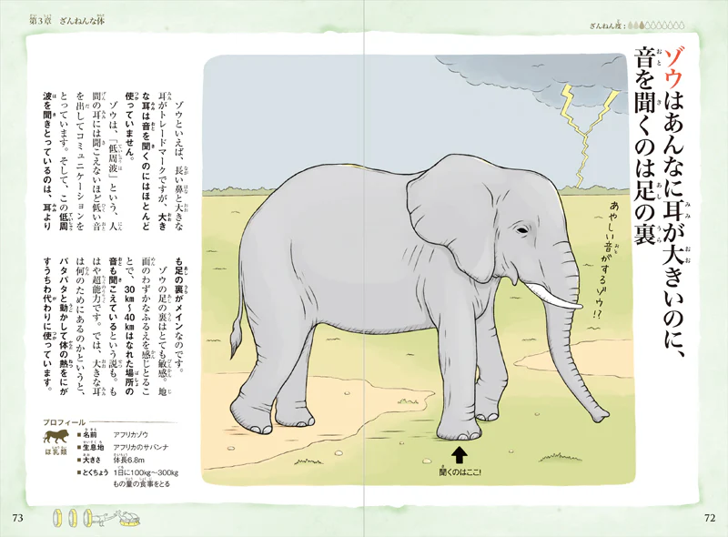 おもしろい!進化のふしぎ 続々ざんねんないきもの事典 - Image 3