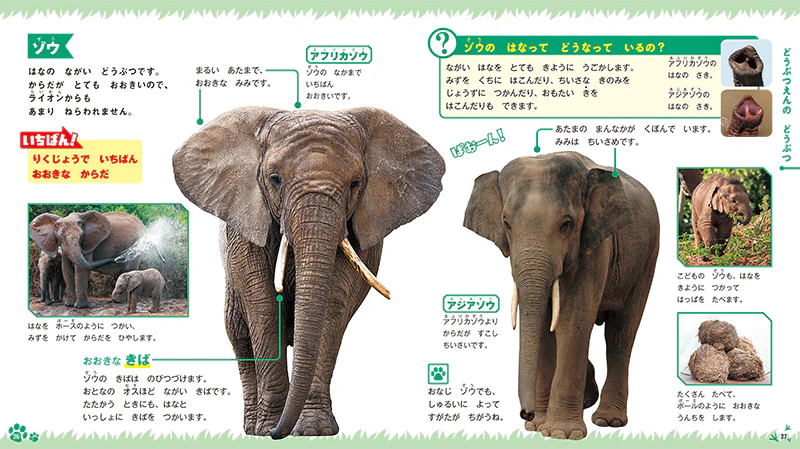 はじめてのずかん　どうぶつ - Image 2