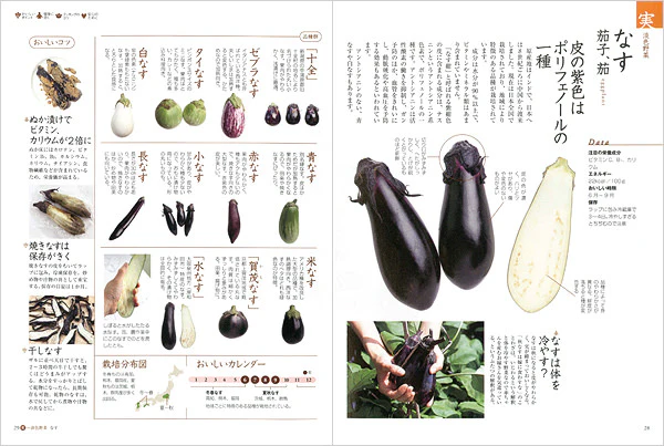 野菜の便利帳 - Image 4
