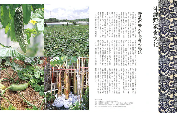 野菜の便利帳 - Image 5