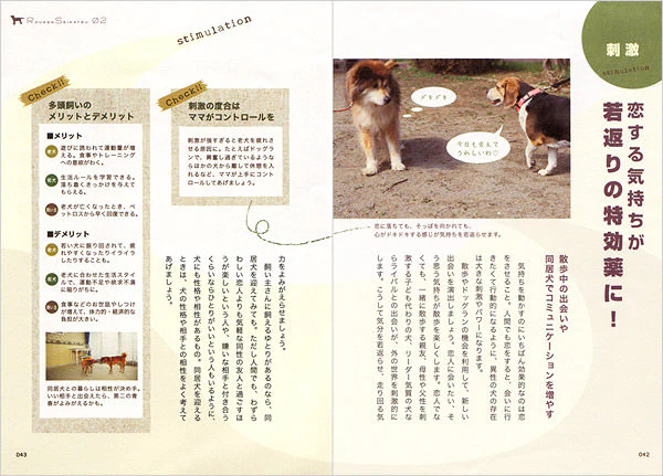 老犬生活 完全ガイド - Image 3